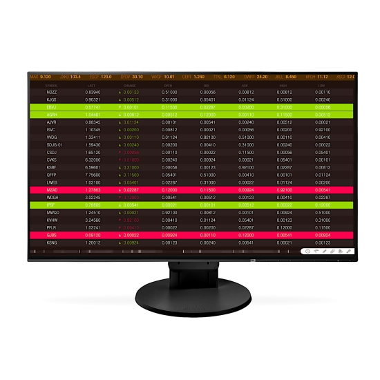 Profesjonalny Bezramkowy Monitor Eizo FlexScan IPS Cena Nowego 1800zł
